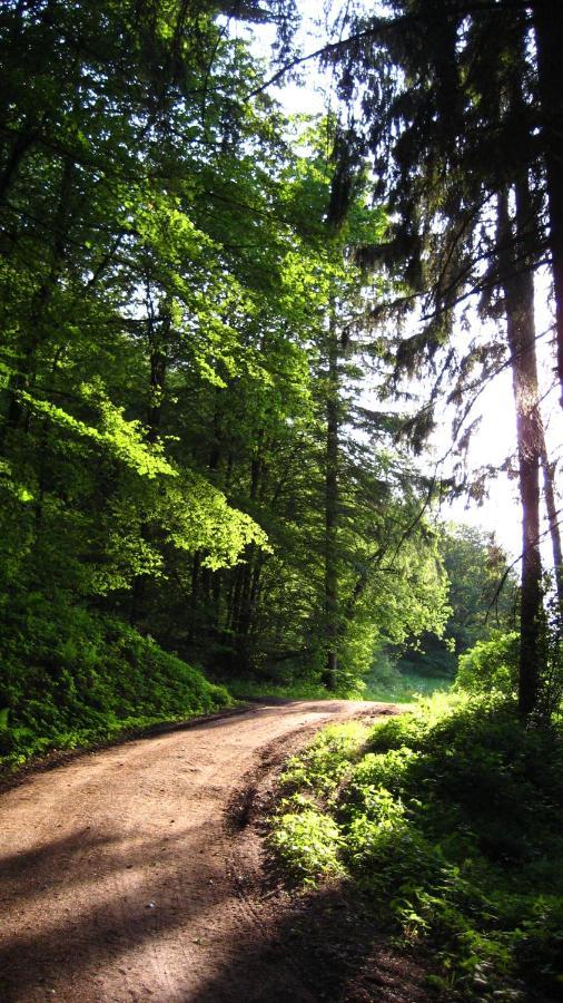 Gaestezimmer Waldblick Wimbach المظهر الخارجي الصورة