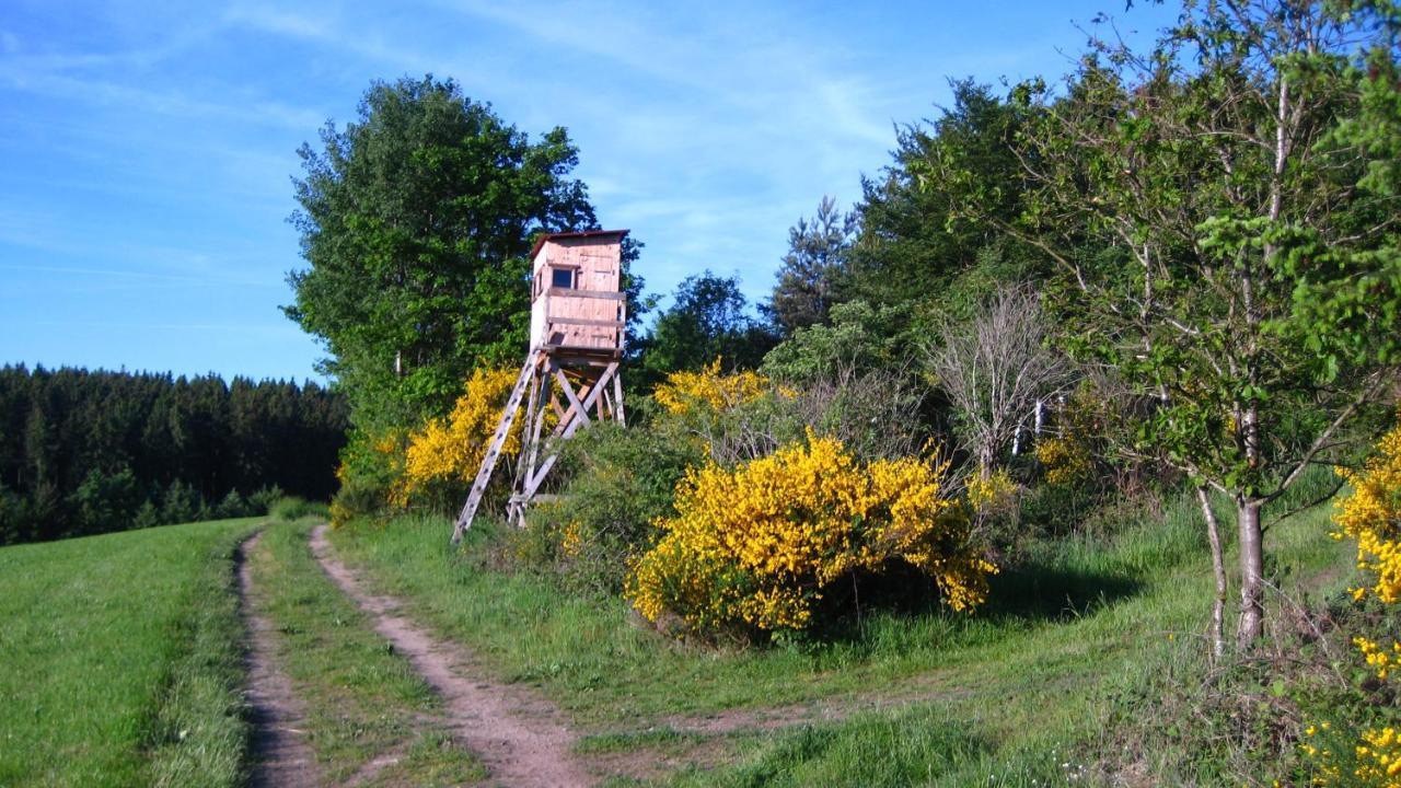 Gaestezimmer Waldblick Wimbach المظهر الخارجي الصورة