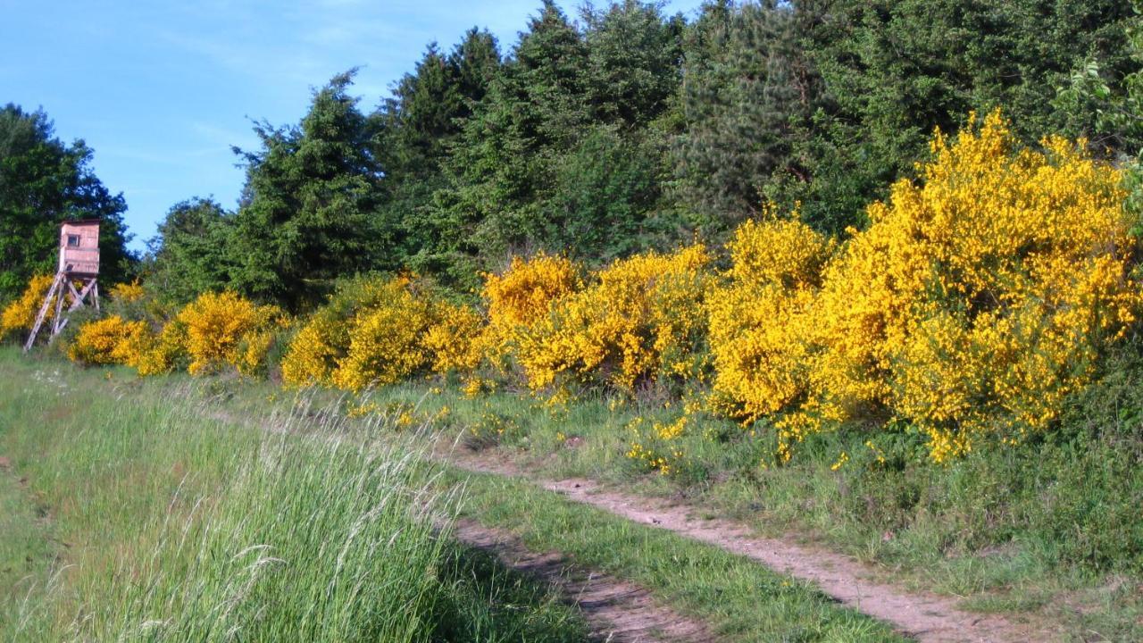 Gaestezimmer Waldblick Wimbach المظهر الخارجي الصورة